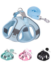 Solmoony Dog Harness for Small Medium Dogs No Pull, Puppy Harness and Leash Set, Puppy Harness for Small Dogs, Step in Harness for Small Dogs, Small Dog Harness, mesh Dog Harness. (Bule, L)